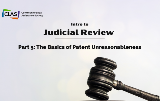 Intro to Judicial Review - Patent Unreasonableness